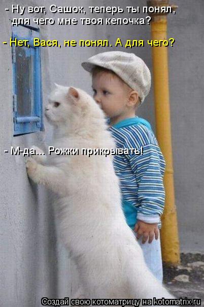 Котоматрица: - Ну вот, Сашок, теперь ты понял, для чего мне твоя кепочка? - Нет, Вася, не понял. А для чего? - М-да... Рожки прикрывать!