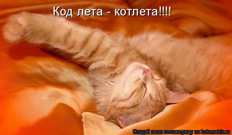 Котоматрица: Код лета - котлета!!!!