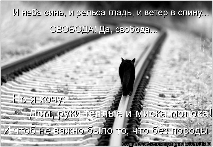 И неба синь, и рельса гладь, и ветер в спину... Дом, руки теплые и миска молока! Но я хочу: И чтоб не... Котоматрица: И неба синь, и рельса гладь, и ветер в спину... Дом, руки теплые и миска молока! Но я хочу: И чтоб не важно было то, что без породы. СВОБОДА! Да, св