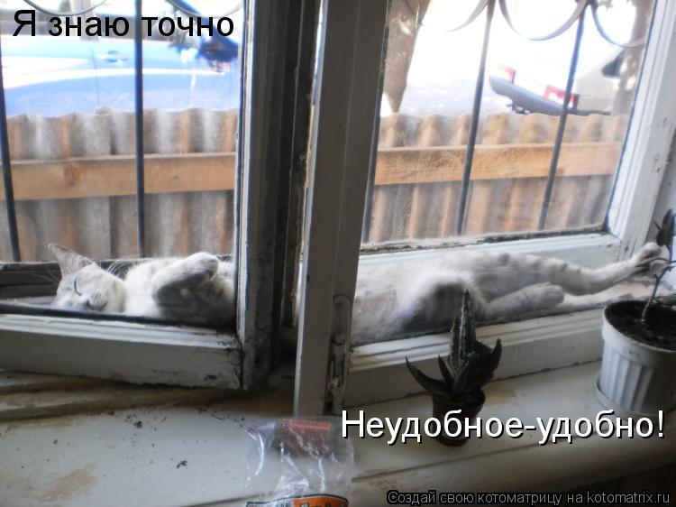 Котоматрица: Я знаю точно Неудобное-удобно!