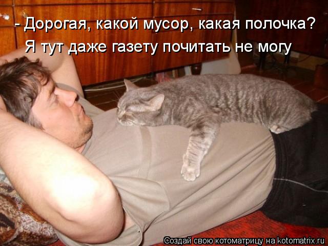 Котоматрица: - Дорогая, какой мусор, какая полочка? Я тут даже газету почитать не могу