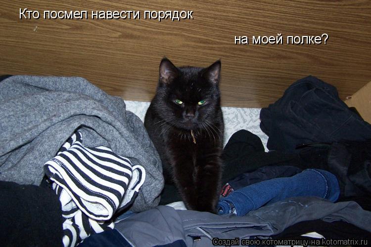 Кто посмел навести порядок на моей полке?... Котоматрица: Кто посмел навести порядок на моей полке?