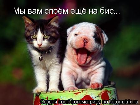 Котоматрица: Мы вам споём ещё на бис...