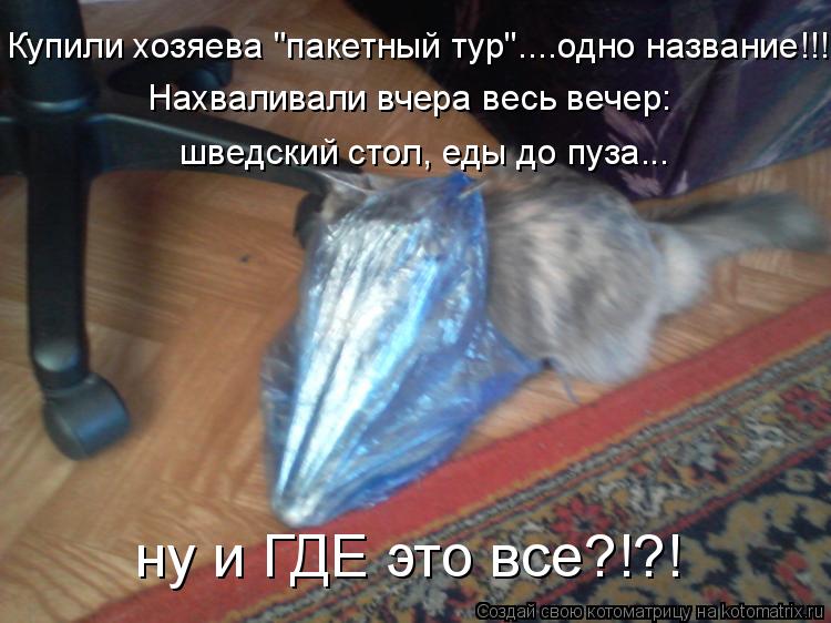 Котоматрица: Купили хозяева "пакетный тур"....одно название!!! Нахваливали вчера весь вечер: шведский стол, еды до пуза... ну и ГДЕ это все?!?!