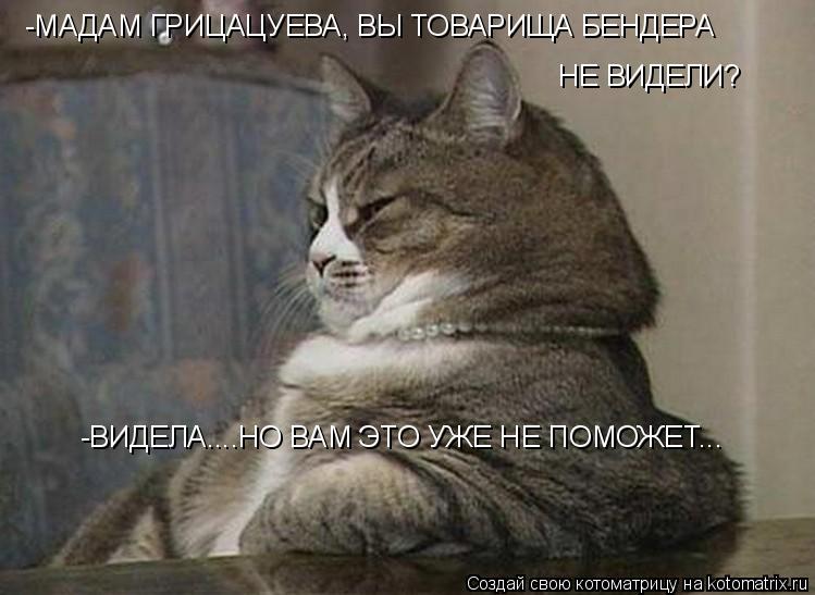 -МАДАМ ГРИЦАЦУЕВА, ВЫ ТОВАРИЩА БЕНДЕРА НЕ ВИДЕЛИ? -ВИДЕЛА....НО ВАМ ЭТО УЖЕ НЕ ПОМОЖЕТ...... Котоматрица: -МАДАМ ГРИЦАЦУЕВА, ВЫ ТОВАРИЩА БЕНДЕРА НЕ ВИДЕЛИ? -ВИДЕЛА....НО ВАМ ЭТО УЖЕ НЕ ПОМОЖЕТ...
