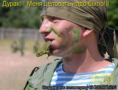 Котоматрица: Дурак!!! Меня целовать надо было!!!