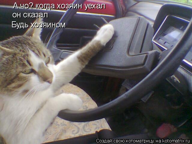 Котоматрица: А чо? когда хозяин уехал он сказал  Будь хозяином