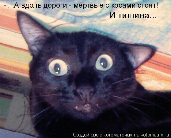 Котоматрица: - ...А вдоль дороги - мертвые с косами стоят! И тишина...