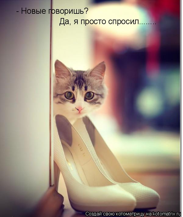 Котоматрица: - Новые говоришь? Да, я просто спросил........