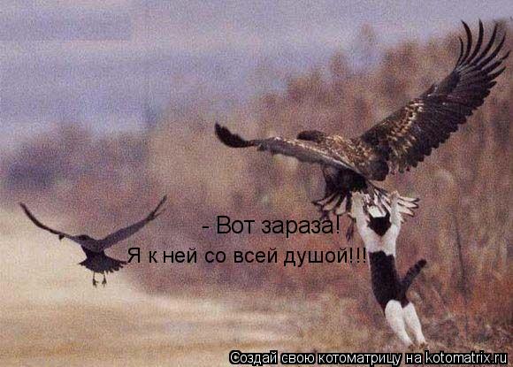 Котоматрица: - Вот зараза! Я к ней со всей душой!!!