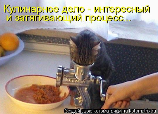 Кулинарное дело - интересный и затягивающий процесс...... Котоматрица: Кулинарное дело - интересный и затягивающий процесс...
