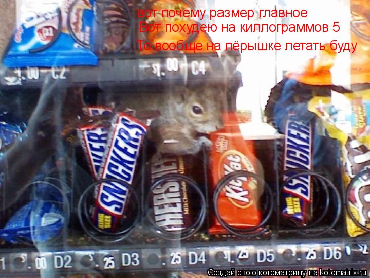 Котоматрица: вот почему размер главное Вот похудею на киллограммов 5 То вообще на пёрышке летать буду