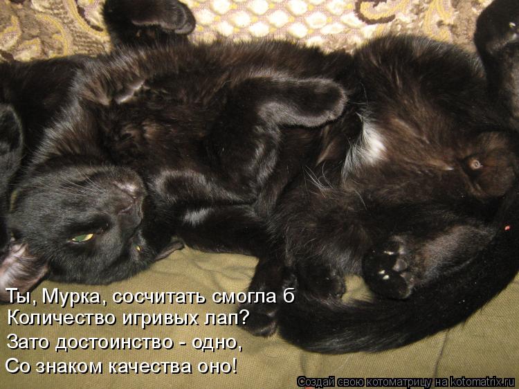 Котоматрица: Ты, Мурка, сосчитать смогла б Количество игривых лап? Зато достоинство - одно, Со знаком качества оно!