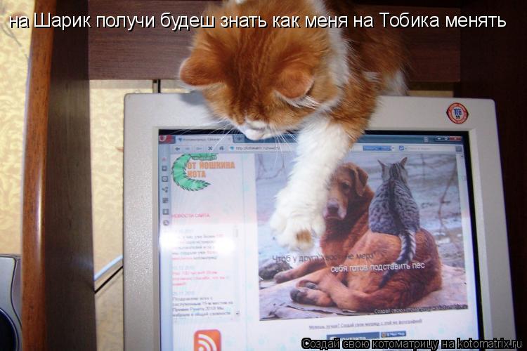Котоматрица: на Шарик получи будеш знать как меня на Тобика менять