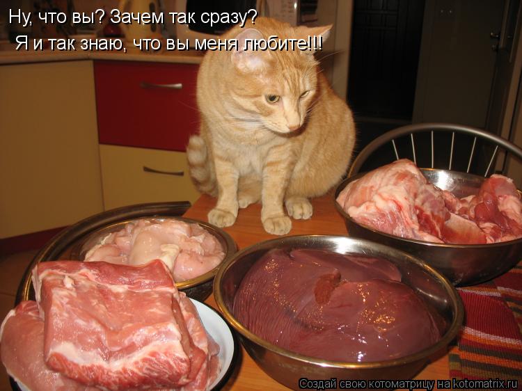Котоматрица: Ну, что вы? Зачем так сразу? Я и так знаю, что вы меня любите!!!