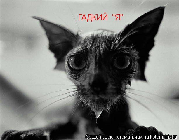 Котоматрица: ГАДКИЙ  "Я"