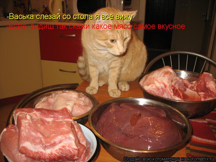 Котоматрица: -Васька слезай со стола я всё вижу -Есле  видиш так скажи какое мясо самое вкусное