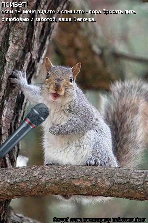 Котоматрица: привет! если вы меня видите и слышите - пора бросать пить. с любовью и заботой, ваша Белочка. с любовью и заботой, ваша Белочка.