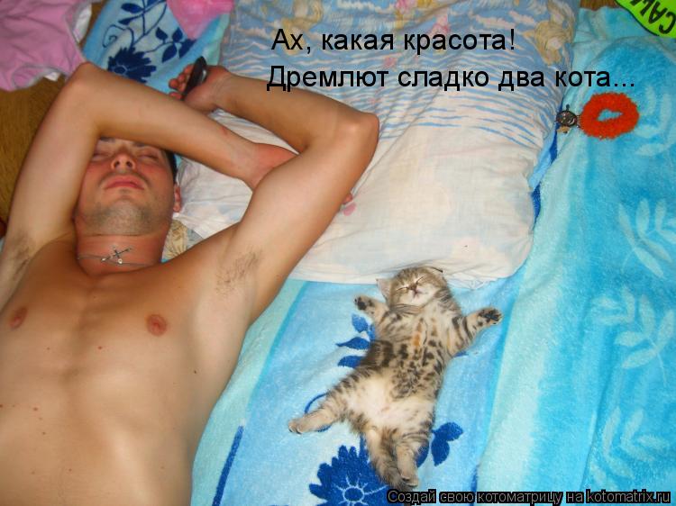 Котоматрица: Ах, какая красота! Дремлют сладко два кота...