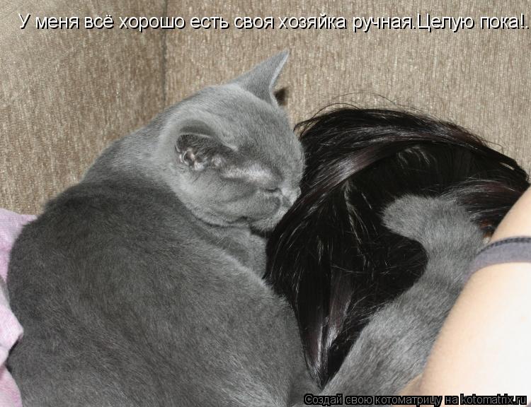 Котоматрица: У меня всё хорошо есть своя хозяйка ручная.Целую пока!.