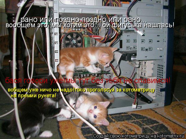 Котоматрица: рано или поздно,поздно или рано... бася говори уже!мы тут без тебя не спавимся! вообщем это, мы хотим это... ой фигуська нашлась! вобщем,уже нич