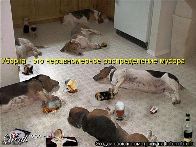 Уборка - это неравномерное распределение мусора... Котоматрица: Уборка - это неравномерное распределение мусора