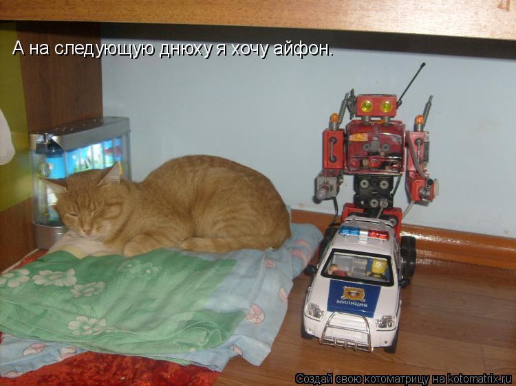 Котоматрица: А на следующую днюху я хочу айфон.