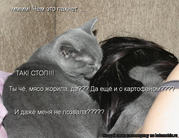 Котоматрица: мммм! Чем это пахнет...... ТАК! СТОП!!! Ты чё, мясо жорила, да??? Да ещё и с картофаном????  И даже меня не позвала?????