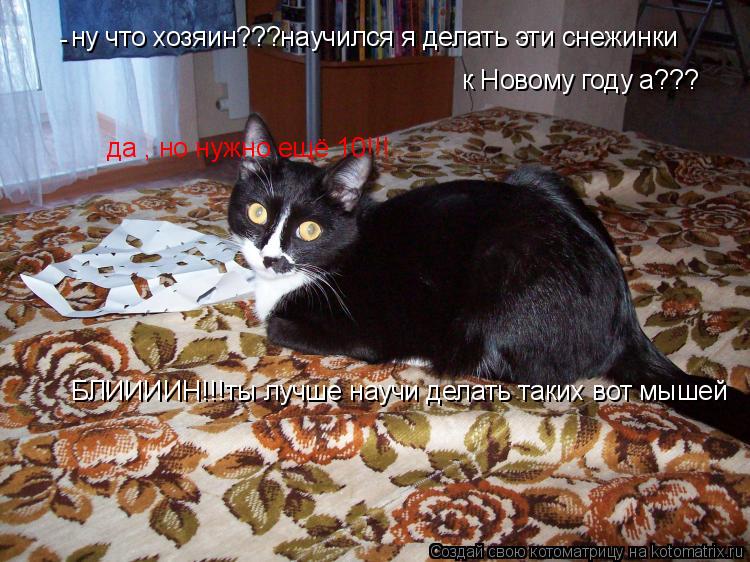 Котоматрица: ну что хозяин???научился я делать эти снежинки  к Новому году а??? - да , но нужно ещё 10!!! БЛИИИИН!!!ты лучше научи делать таких вот мышей