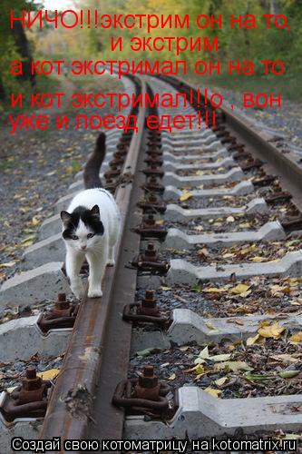 Котоматрица: а кот экстримал он на то и экстрим НИЧО!!!экстрим он на то, и кот экстримал!!!о , вон уже и поезд едет!!!