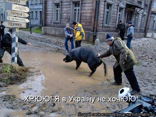 Котоматрица: -ХРЮЮ! Я в Украiну не хочЮЮ!