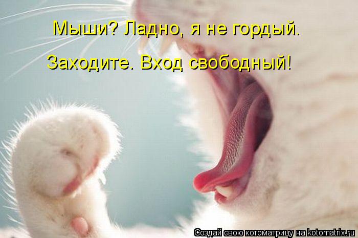 Котоматрица: Мыши? Ладно, я не гордый. Заходите. Вход свободный!