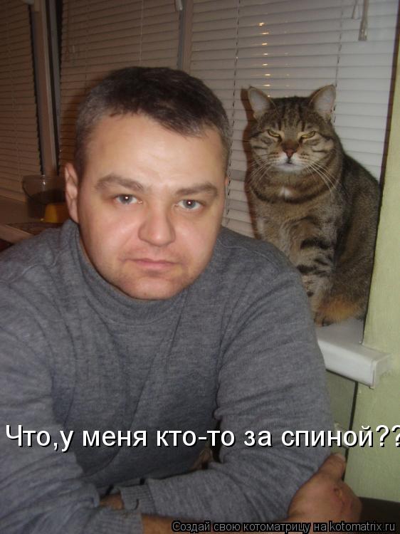 Котоматрица: Что,у меня кто-то за спиной???