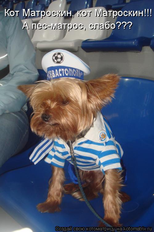 Котоматрица: Кот Матроскин, кот Матроскин!!! А пес-матрос, слабо???