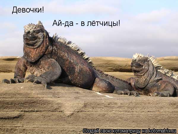 Котоматрица: Девочки! Ай-да - в лётчицы!