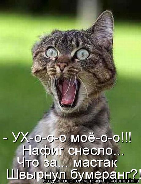 Котоматрица: - УХ-о-о-о моё-о-о!!! Нафиг снесло... Что за... мастак Швырнул бумеранг?!!