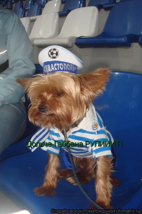 Котоматрица: Дольче-Габбана РУЛИИИТ!