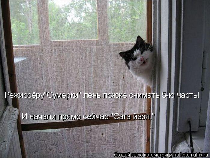 Котоматрица: Режиссёру"Сумерки" лень пожже снимать 5-ю часть! И начали прямо сейчас."Сага йазя."