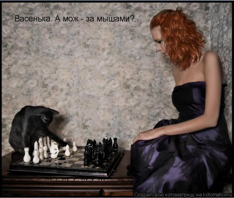 Котоматрица: Васенька. А мож - за мышами?..