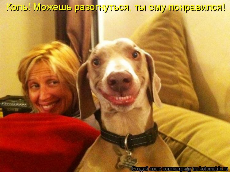 Котоматрица: Коль! Можешь разогнуться, ты ему понравился!