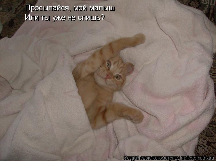 Котоматрица: Просыпайся, мой малыш. Или ты уже не спишь?