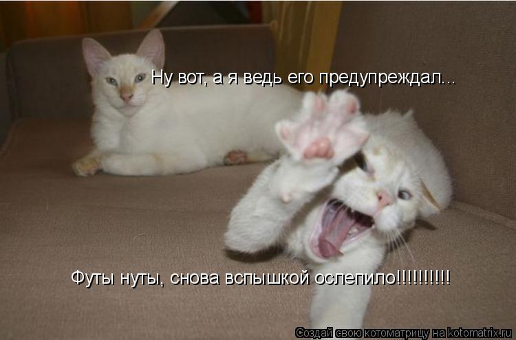 Котоматрица: Футы нуты, снова вспышкой ослепило!!!!!!!!!! Ну вот, а я ведь его предупреждал...