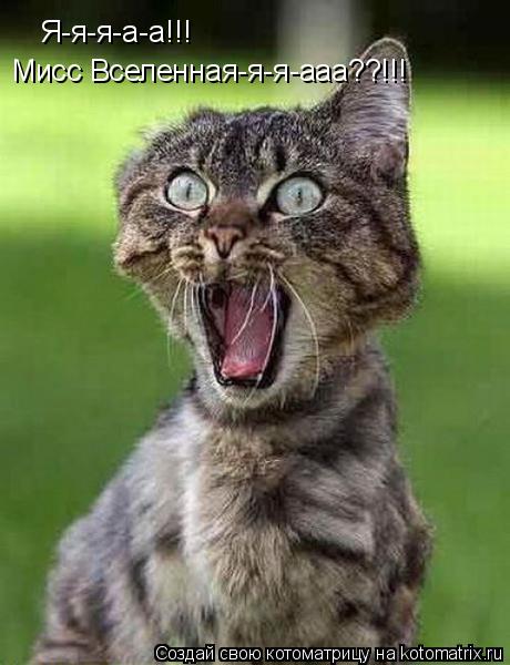 Котоматрица: Я-я-я-а-а!!! Мисс Вселенная-я-я-ааа??!!!