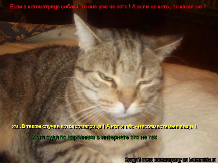Котоматрица: хм..В таком случае котопсоматрица ! А кот и пёс - несовместимые вещи ! хм..В таком случае котопсоматрица ! А кот и пёс - несовместимые вещи ! Есл