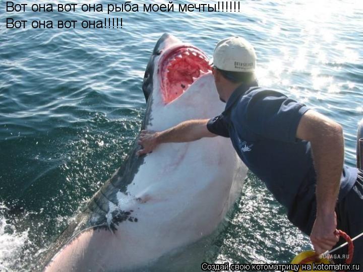 Котоматрица: Вот она вот она рыба моей мечты!!!!!! Вот она вот она!!!!!