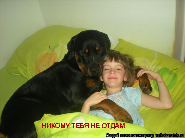 Котоматрица: НИКОМУ ТЕБЯ НЕ ОТДАМ НИКОМУ ТЕБЯ НЕ ОТДАМ