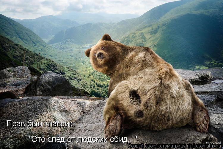 Котоматрица: Прав был классик: "Это след от людских обид..."