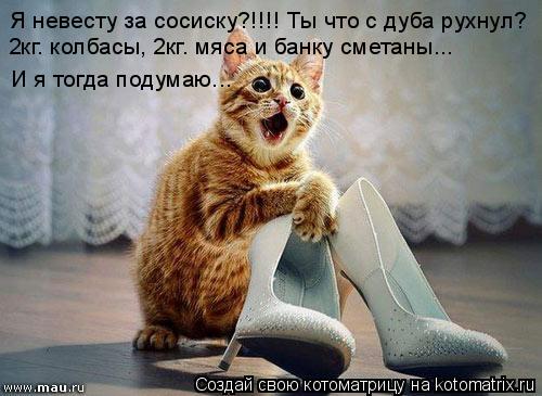 Котоматрица: Я невесту за сосиску?!!!! Ты что с дуба рухнул? 2кг. колбасы, 2кг. мяса и банку сметаны... И я тогда подумаю...