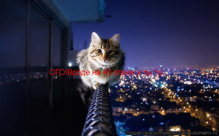 Котоматрица: ОГО!Вроде на 43 этаже и ты ту...