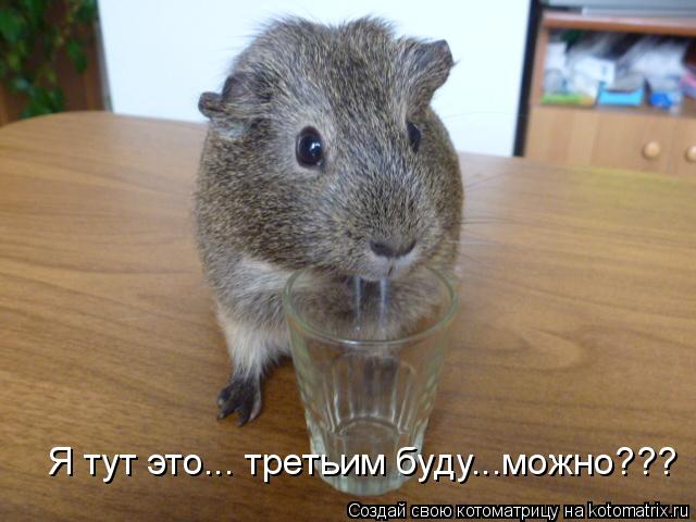 Котоматрица: Я тут это... третьим буду...можно???